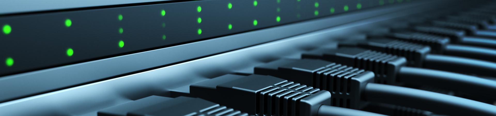 Nahaufnahme mehrerer eingesteckter Netzwerkkabel in einem Internetanschluss mit leuchtenden grünen Statusanzeigen