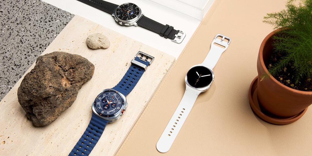 Drei Samsung Galaxy Watch8 Modelle liegen neben Steinen und einer Pflanze